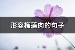 形容榴莲肉的句子(精选60句)