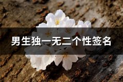 男生独一无二个性签名(优选87句)