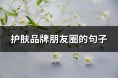 护肤品牌朋友圈的句子(共58句)