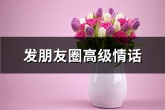 发朋友圈高级情话(优选65句)