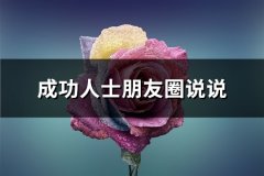 成功人士朋友圈说说(共67句)