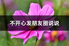不开心发朋友圈说说(精选66句)