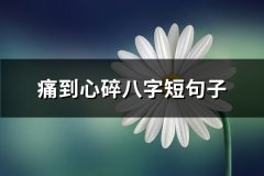 痛到心碎八字短句子(热门58句)