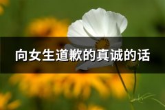 向女生道歉的真诚的话(汇总51句)