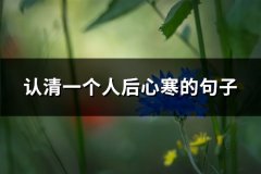 认清一个人后心寒的句子(65句)
