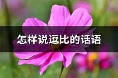 怎样说逗比的话语(推荐66句)