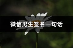 微信男生签名一句话(优选66句)