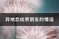 异地恋给男朋友的情话(实用65句)