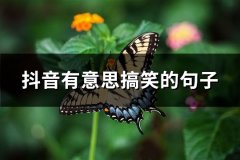 抖音有意思搞笑的句子(推荐65句)
