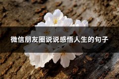 微信朋友圈说说感悟人生的句子(优选65句)