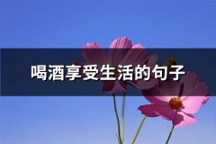 喝酒享受生活的句子(推荐67句)
