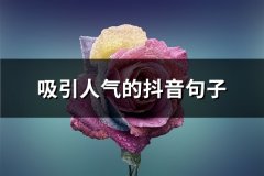 吸引人气的抖音句子(实用67句)
