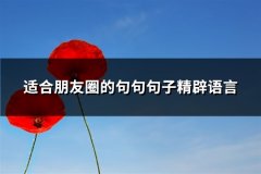 适合朋友圈的句句句子精辟语言(汇总65句)
