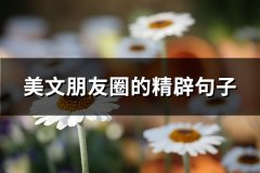 美文朋友圈的精辟句子(推荐66句)