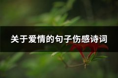 关于爱情的句子伤感诗词(汇总50句)