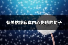 有关枯燥寂寞内心伤感的句子(热门65句)