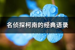 名侦探柯南的经典语录(精选50句)