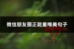 微信朋友圈正能量唯美句子(推荐67句)