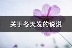 关于冬天发的说说(通用67句)