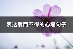 表达爱而不得的心痛句子(实用72句)