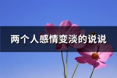 两个人感情变淡的说说(精选78句)