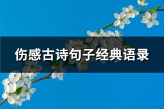 伤感古诗句子经典语录(推荐66句)