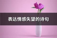 表达情感失望的诗句(精选42句)