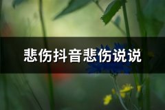 悲伤抖音悲伤说说(共65句)