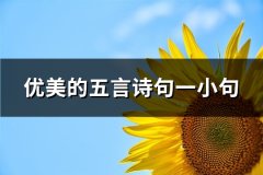 优美的五言诗句一小句(实用71句)