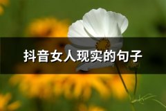 抖音女人现实的句子(66句)