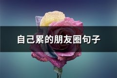 自己累的朋友圈句子(实用66句)