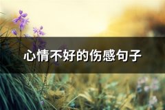 心情不好的伤感句子(汇总77句)