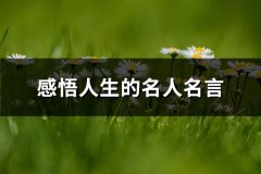 感悟人生的名人名言(汇总68句)