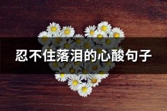 忍不住落泪的心酸句子(汇总76句)