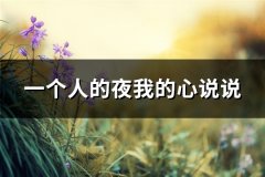 一个人的夜我的心说说(汇总65句)