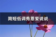 简短低调秀恩爱说说(实用80句)