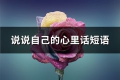 说说自己的心里话短语(推荐75句)