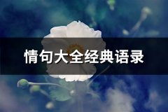 情句大全经典语录(共66句)