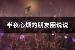 半夜心烦的朋友圈说说(优选65句)