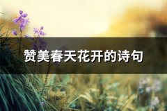 赞美春天花开的诗句(汇总36句)