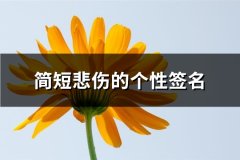 简短悲伤的个性签名(优选65句)