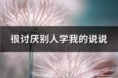 很讨厌别人学我的说说(热门59句)