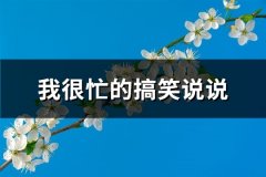 我很忙的搞笑说说(共94句)
