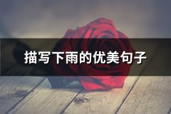 描写下雨的优美句子(实用56句)