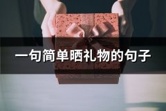 一句简单晒礼物的句子(通用53句)