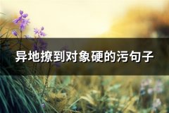 异地撩到对象硬的污句子(79句)