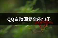 QQ自动回复全能句子(实用27句)