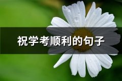祝学考顺利的句子(必备53句)