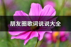 朋友圈歌词说说大全(优选51句)