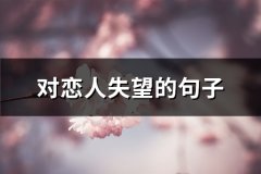 对恋人失望的句子(65句)